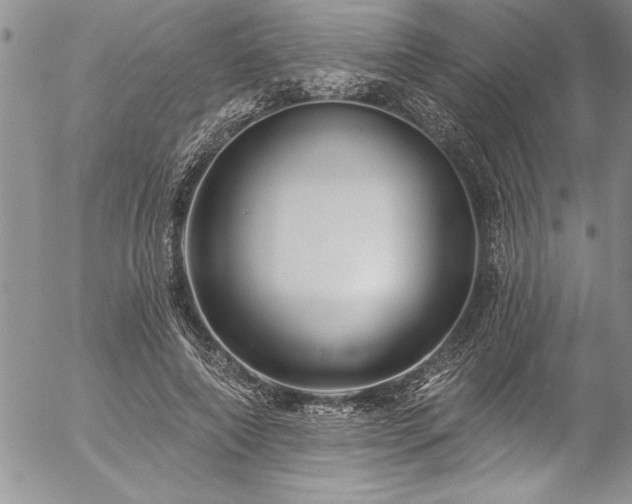 X0000057090690200509091314