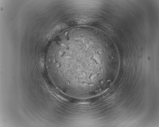 X0000057090691200509091314