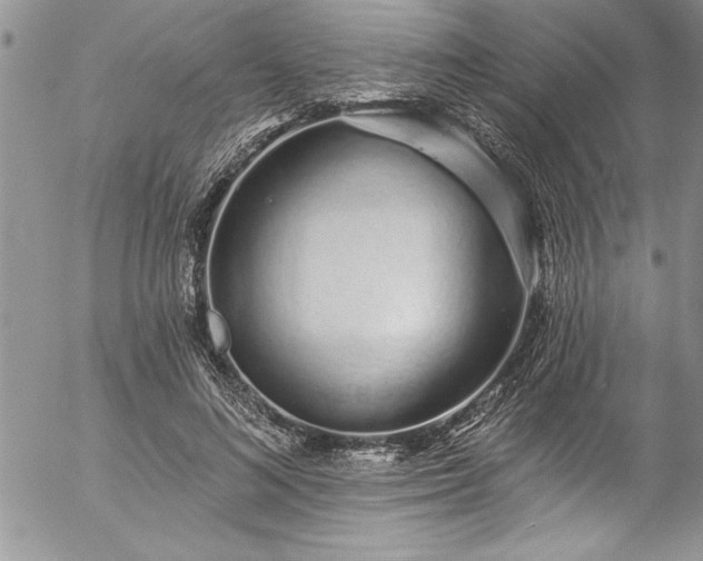 X0000057090692200509091314