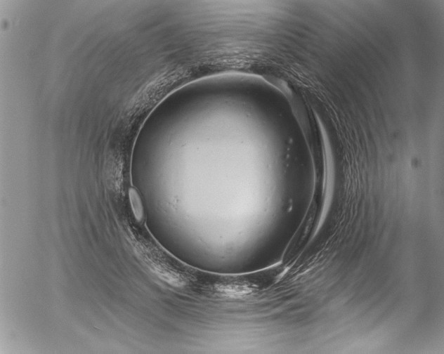 X0000057090693200509091314