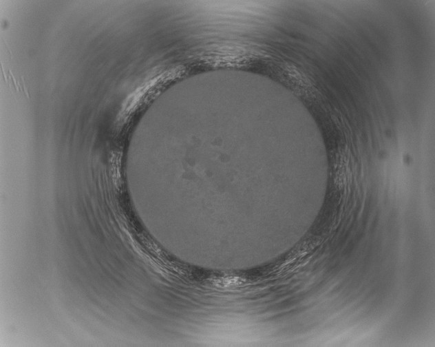 X0000057090695200509091314