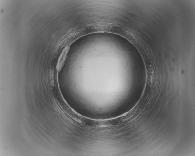 X0000057090696200509091314