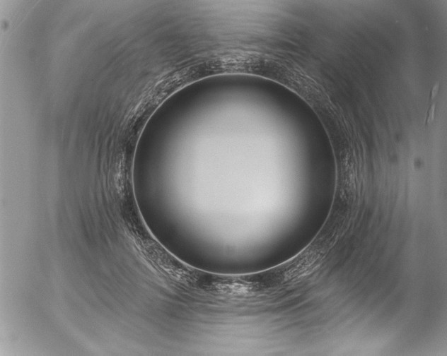 X0000057090698200509091314