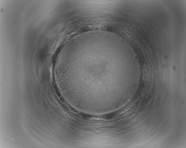 X0000057090699200509091313