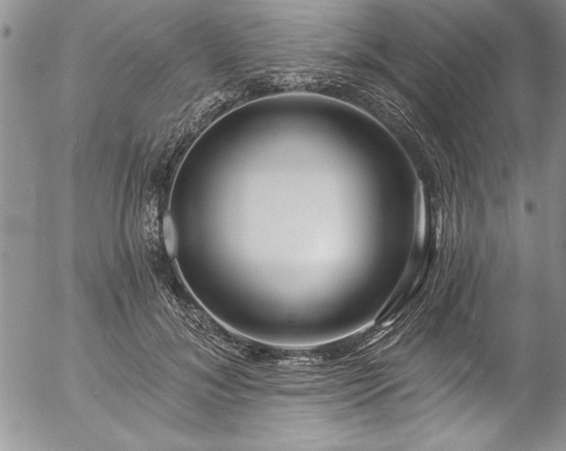 X0000057090700200509091313