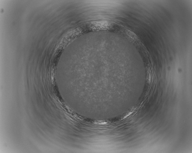 X0000057090701200509091313