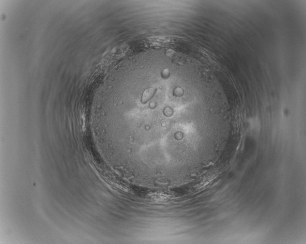 X0000057090703200509091313