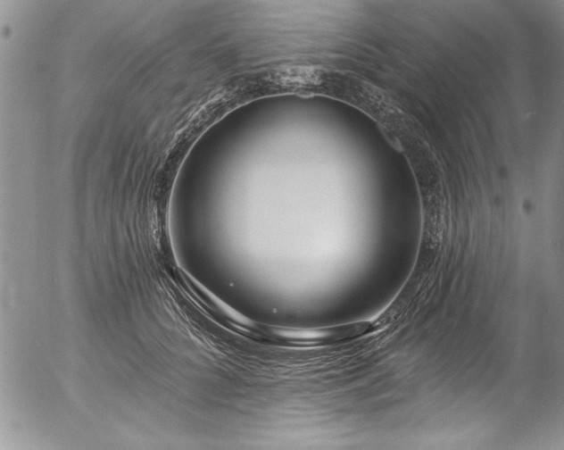 X0000057090704200509091313