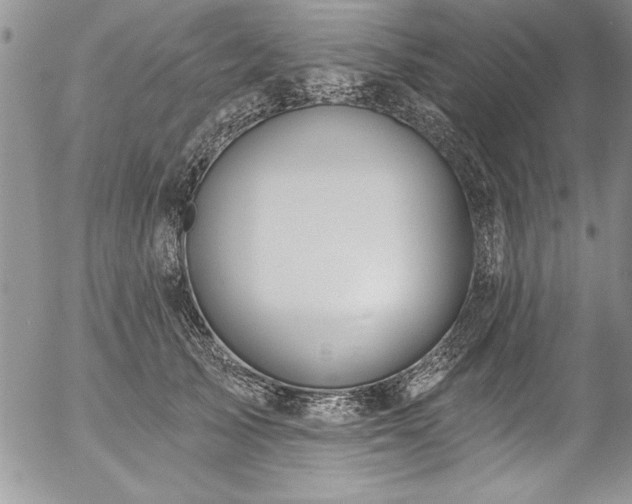 X0000057090705200509091313