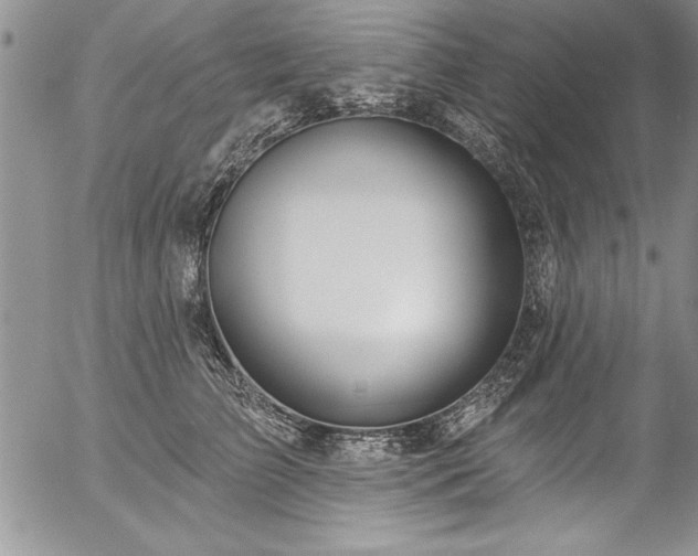 X0000057090709200509091313