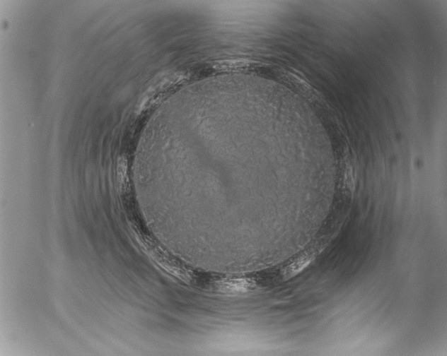 X0000057090711200509091313