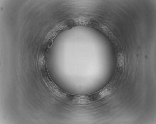 X0000057090713200509091313