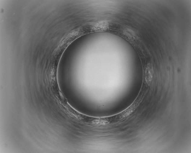 X0000057090714200509091313