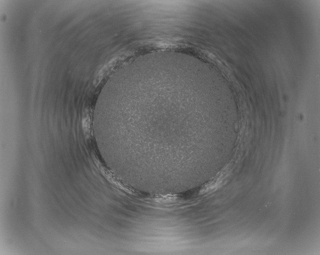 X0000057090720200509091313