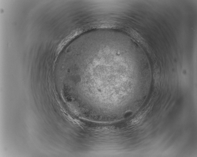 X0000057090721200509091312