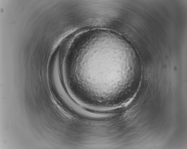 X0000057090722200509091312