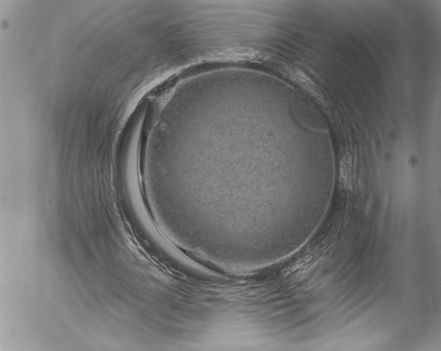 X0000057090724200509091312