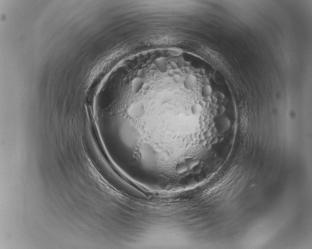 X0000057090725200509091312