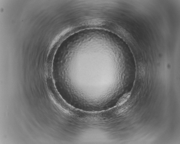 X0000057090726200509091312