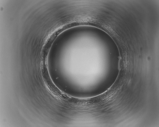 X0000057090728200509091312