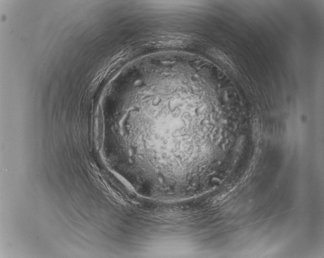 X0000057090729200509091312