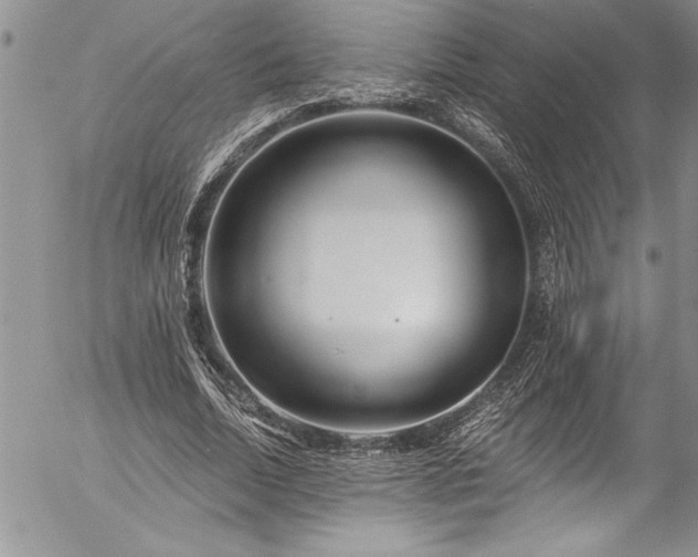 X0000057090730200509091313