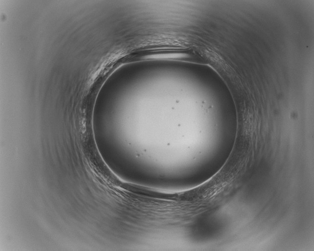 X0000057090731200509091313