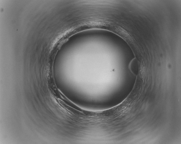 X0000057090732200509091313