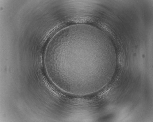 X0000057090733200509091313