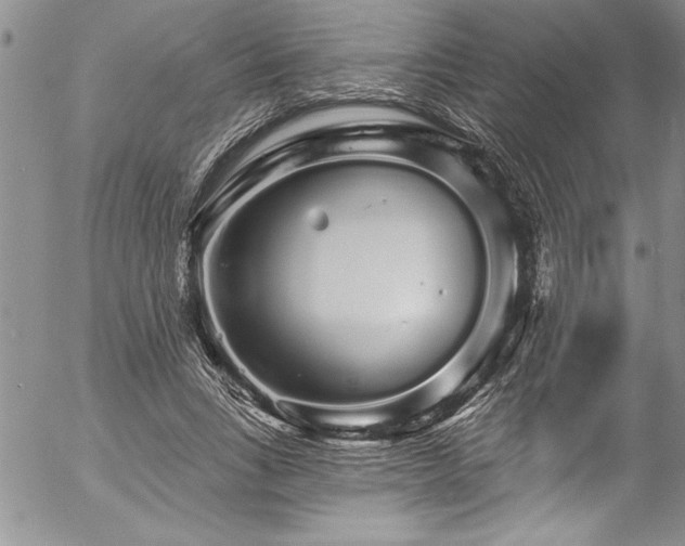 X0000057090735200509091313