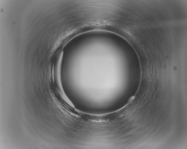 X0000057090736200509091313