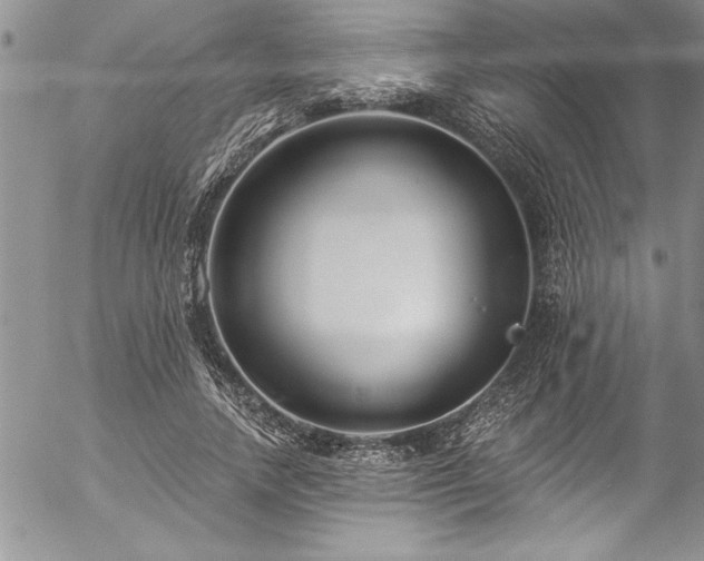 X0000057090738200509091313