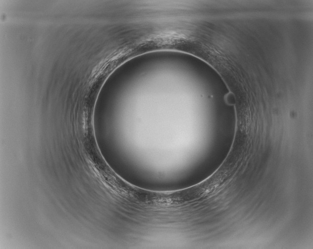 X0000057090740200509091313