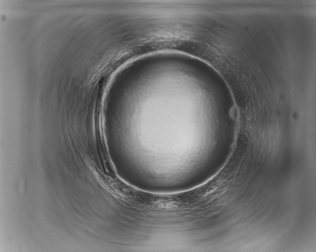 X0000057090742200509091313