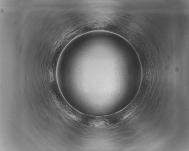 X0000057090743200509091313