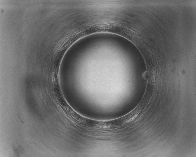 X0000057090746200509091313