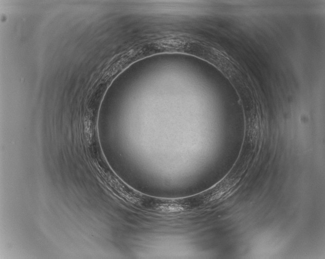 X0000057090749200509091313