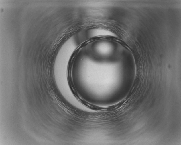 X0000057090750200509091313