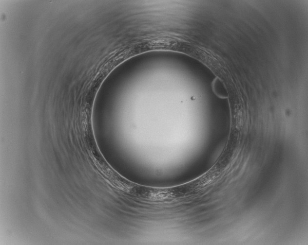 X0000057090753200509091313