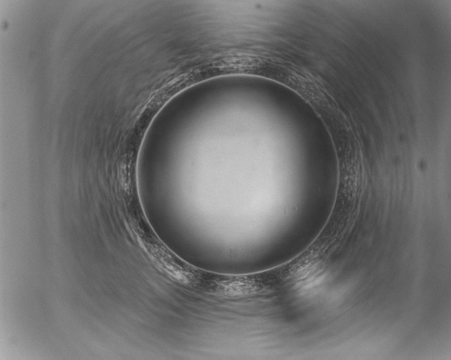 X0000057090755200509091313