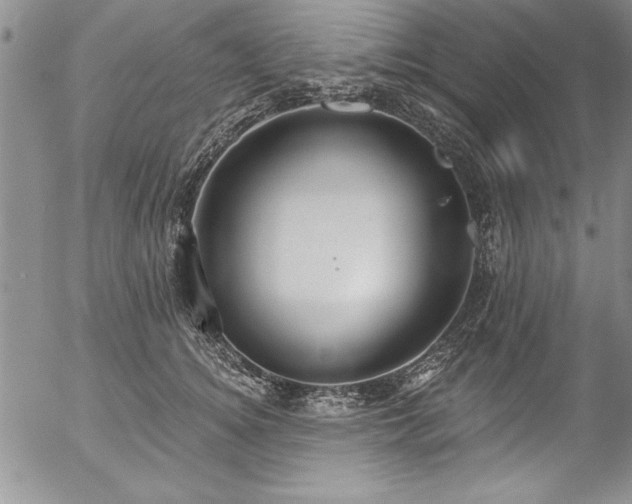 X0000057090756200509091313