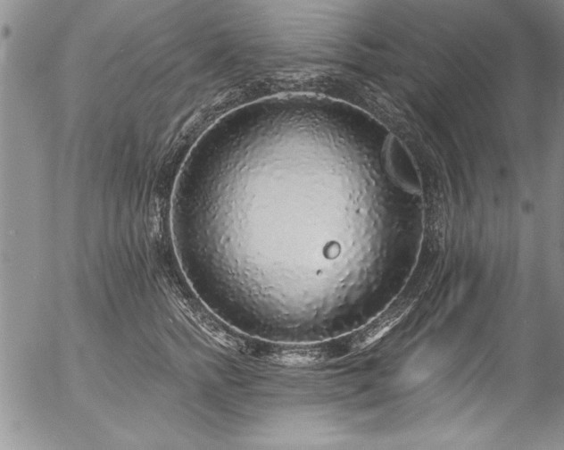 X0000057090758200509091313