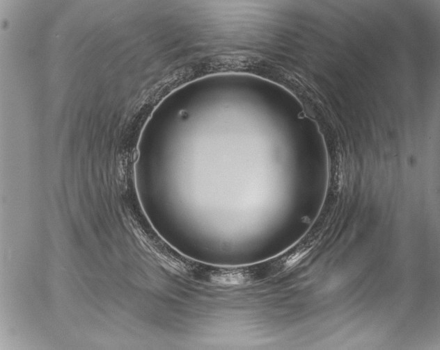 X0000057090759200509091313