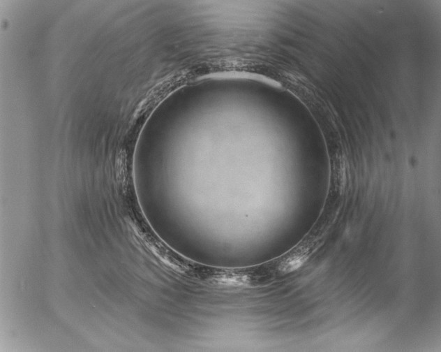 X0000057090760200509091313