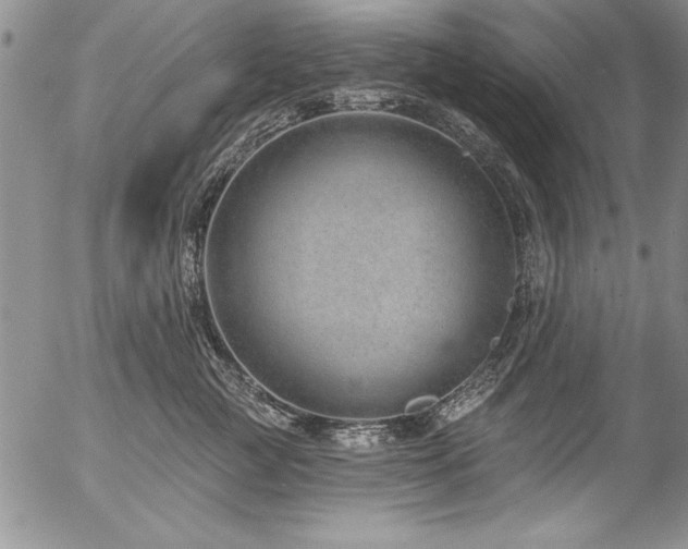 X0000057090761200509091313