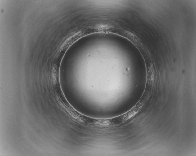 X0000057090762200509091313