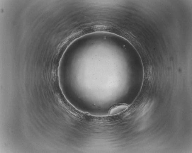 X0000057090763200509091313