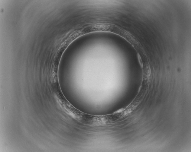 X0000057090764200509091313