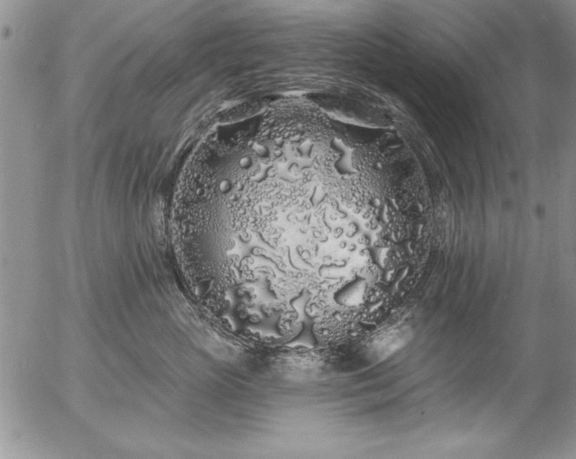 X0000057090765200509091313