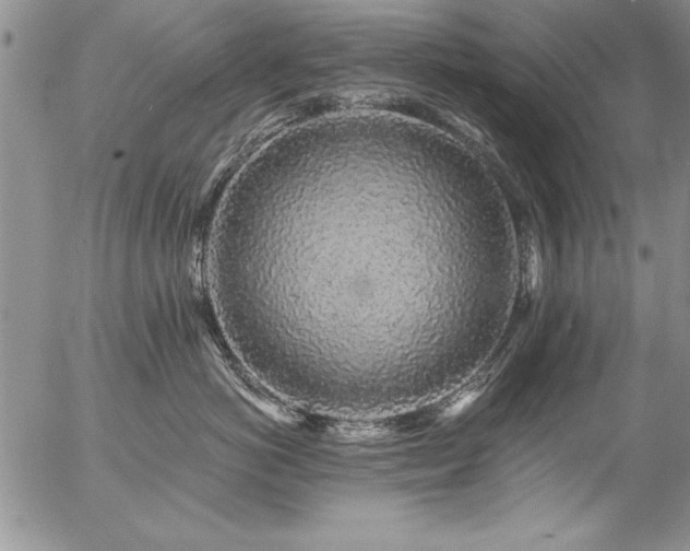 X0000057090766200509091313